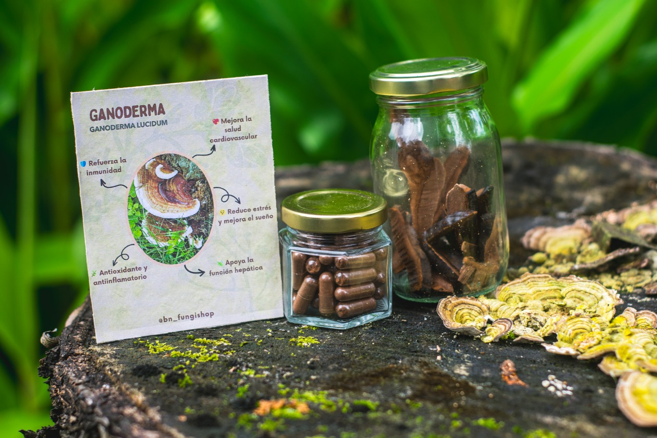 Micro Ganoderma